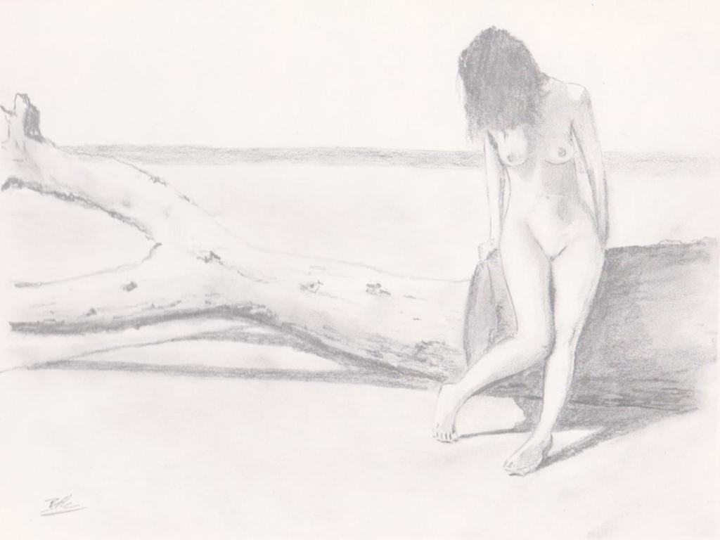 Pencil Sketch - Drift wood on the beach